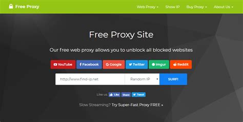 unblock free proxy porn|Free web proxy and a cutting